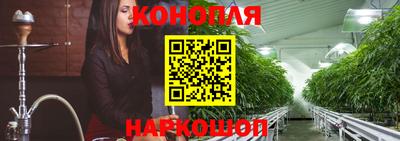 спиды Моздок