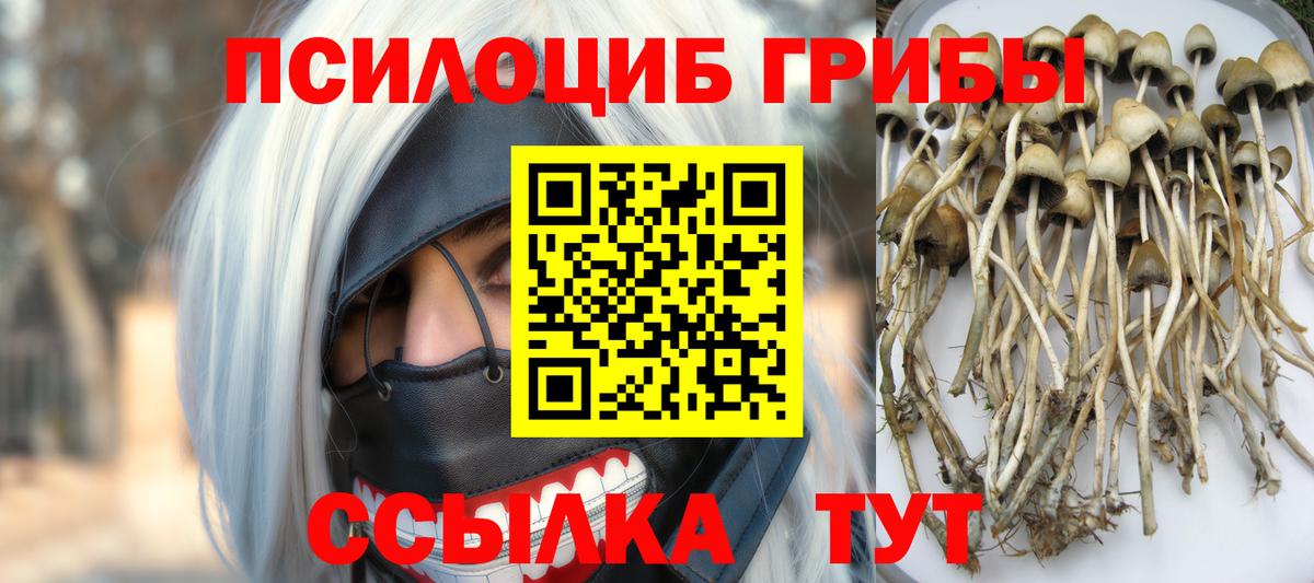 Сланцы  Псилоцибиновые грибы Cubensis  Вход с VPN  Псилоцибиновые грибы Psilocybine cubensis 