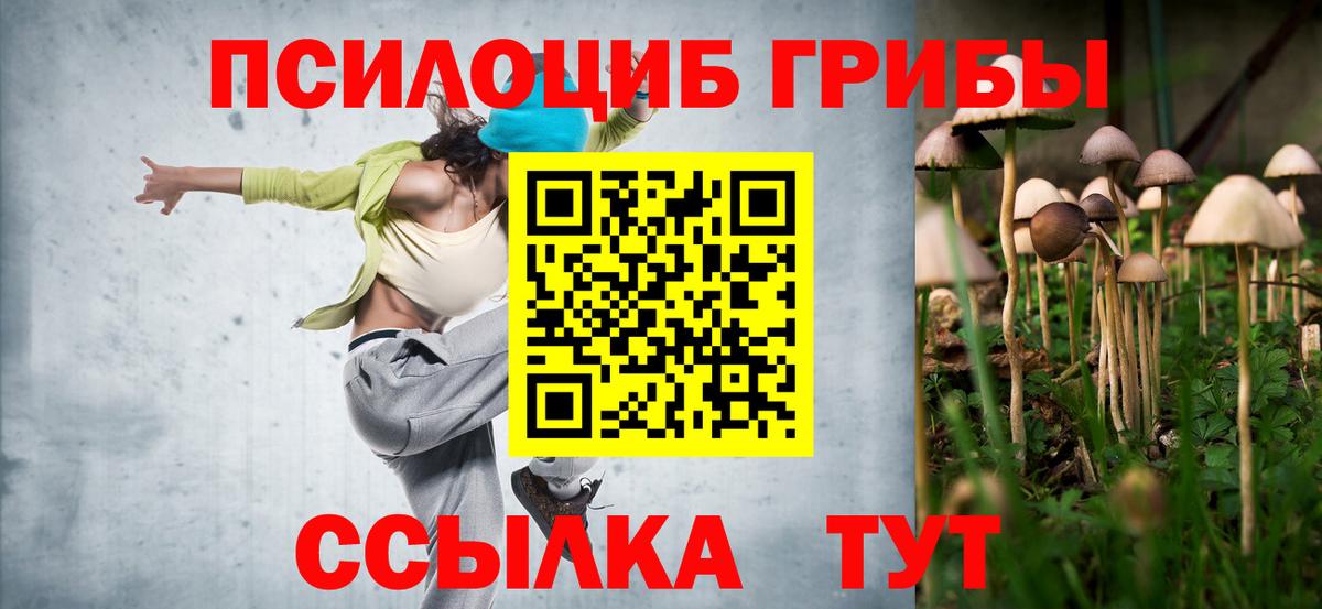 Галлюциногенные грибы ЛСД Сланцы